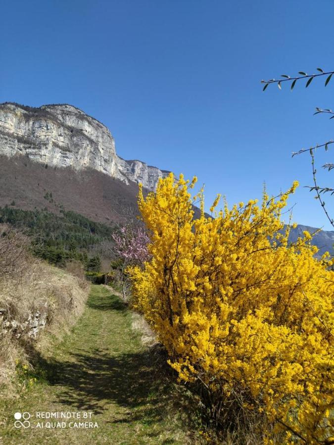 Studio Au Pied De La Montagne Et Vue Imprenable Saint-Alban  Eksteriør bilde