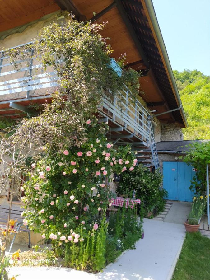 Studio Au Pied De La Montagne Et Vue Imprenable Saint-Alban  Eksteriør bilde