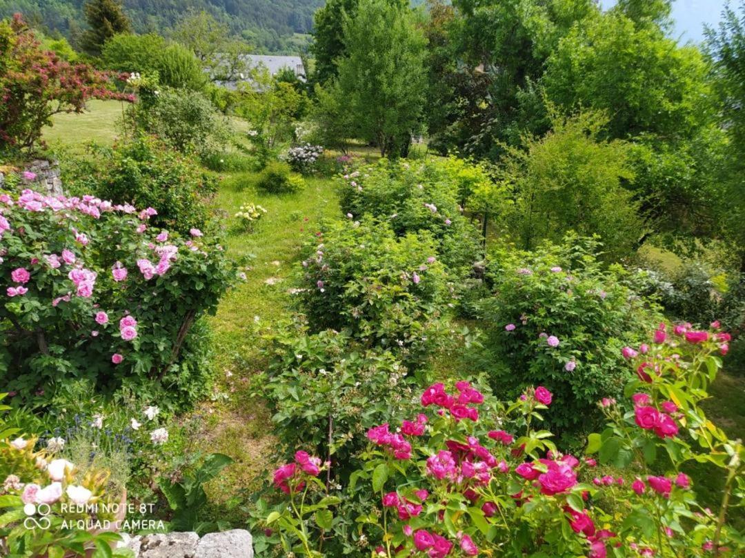 Studio Au Pied De La Montagne Et Vue Imprenable Saint-Alban  Eksteriør bilde