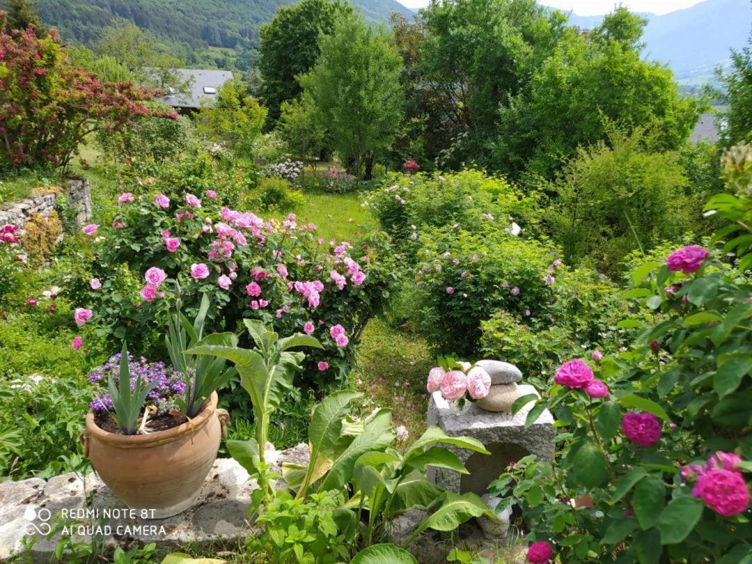 Studio Au Pied De La Montagne Et Vue Imprenable Saint-Alban  Eksteriør bilde